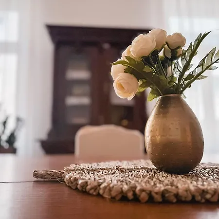 Unique & Spacious 3br Historic Flat In Centre Lejlighed Sarajevo